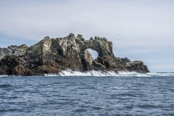 Farallon Islands