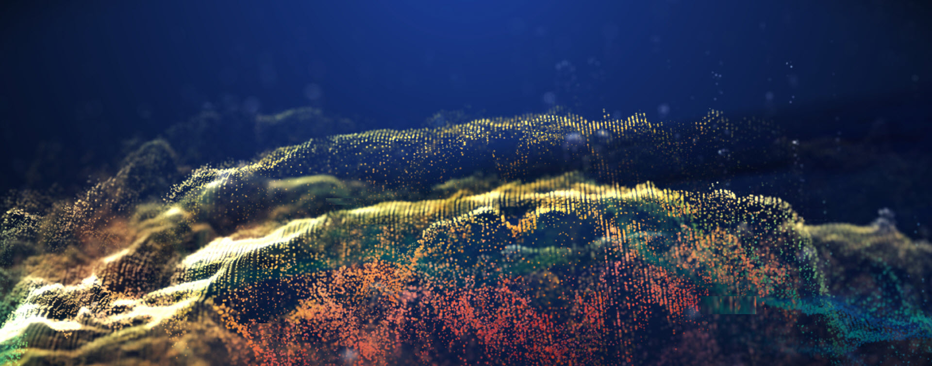Photo of underneath the ocean