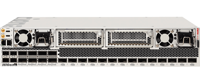 Ciena product 8110